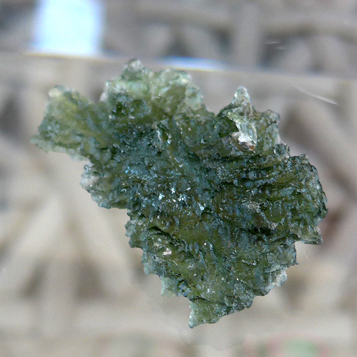 Translucent AAA Besednice Moldavite Leaf Specimen