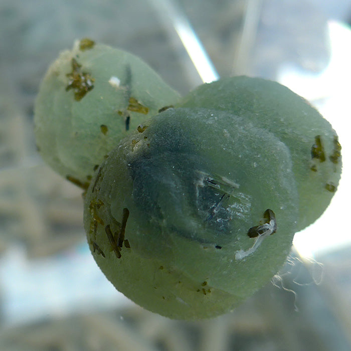Triple Globe Prehnite Specimen with Epidote Rods
