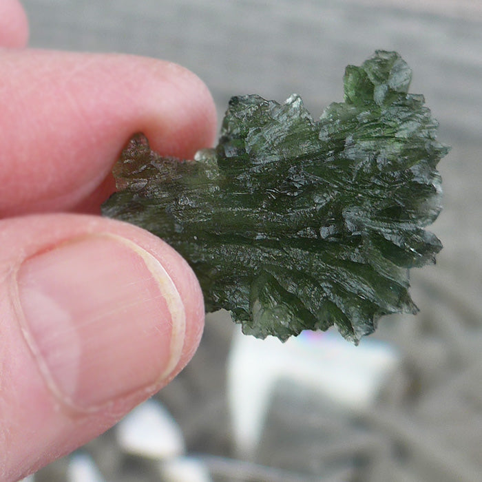 Translucent AAA Besednice Moldavite Leaf Specimen