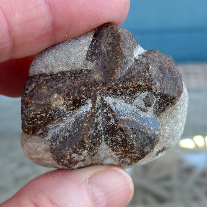 Large Five Armed Staurolite Cross