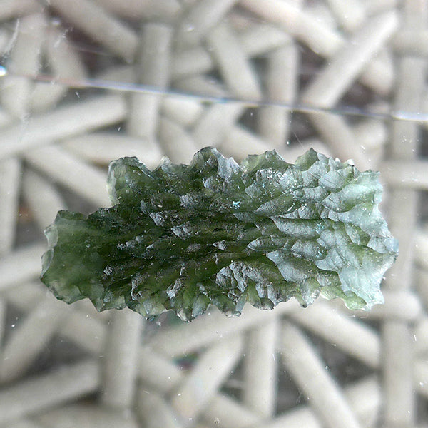 AAA Besednice Large Slim Spiky Leaf Moldavite Specimen