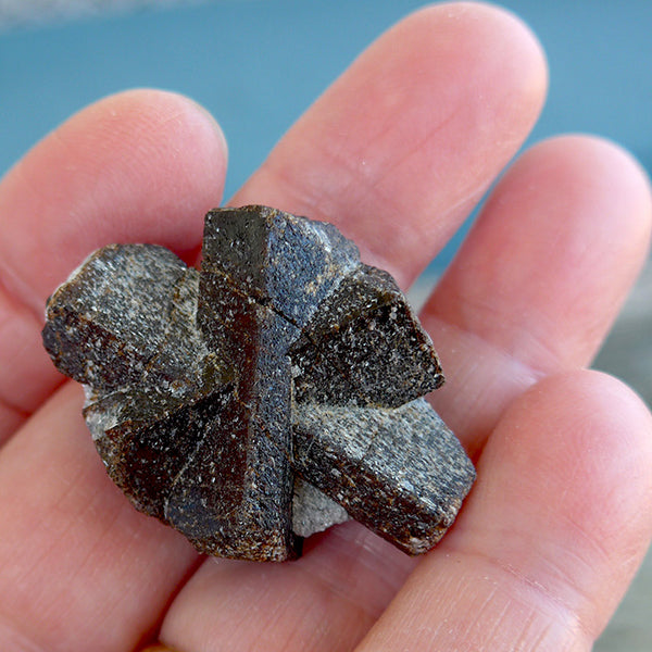 Six Armed St. Andrew Staurolite Cross