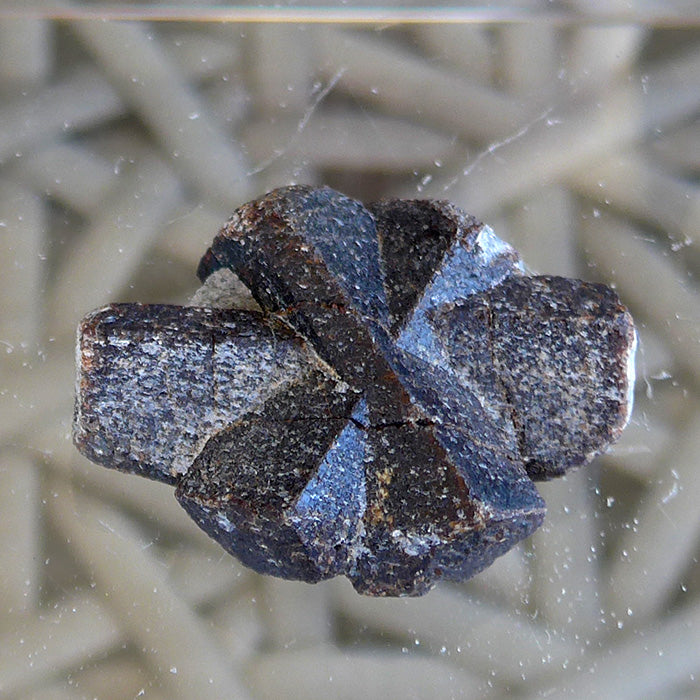 Six Armed St. Andrew Staurolite Cross