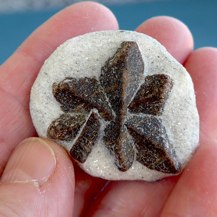 Seven Armed Glittering Staurolite Cross