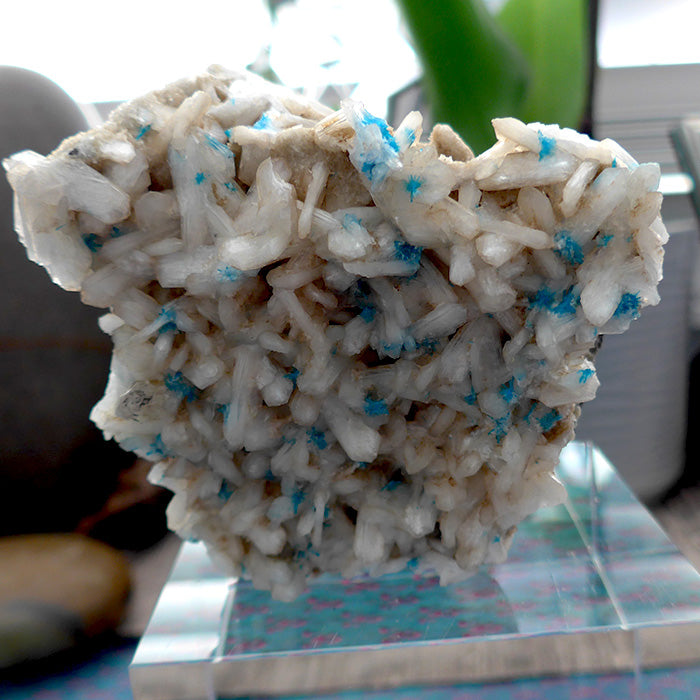 Cavansite on Apophyllite and Stilbite Matrix