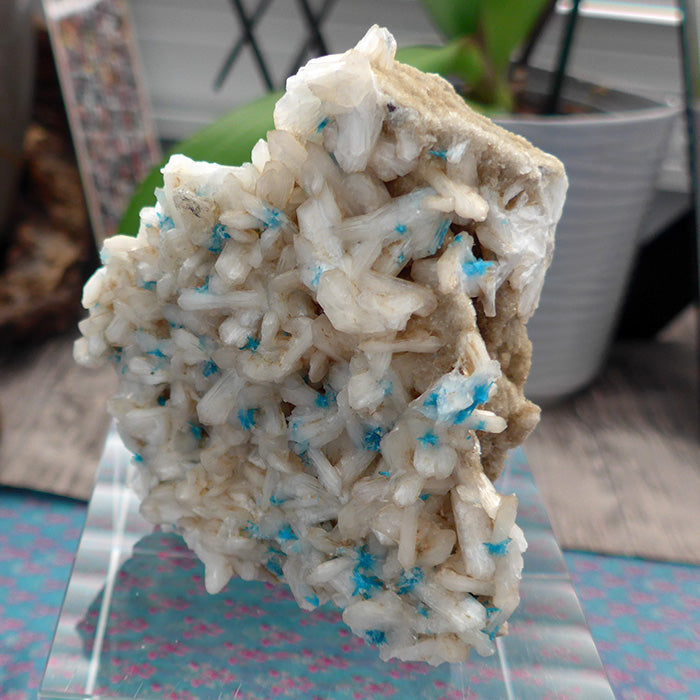 Cavansite on Apophyllite and Stilbite Matrix
