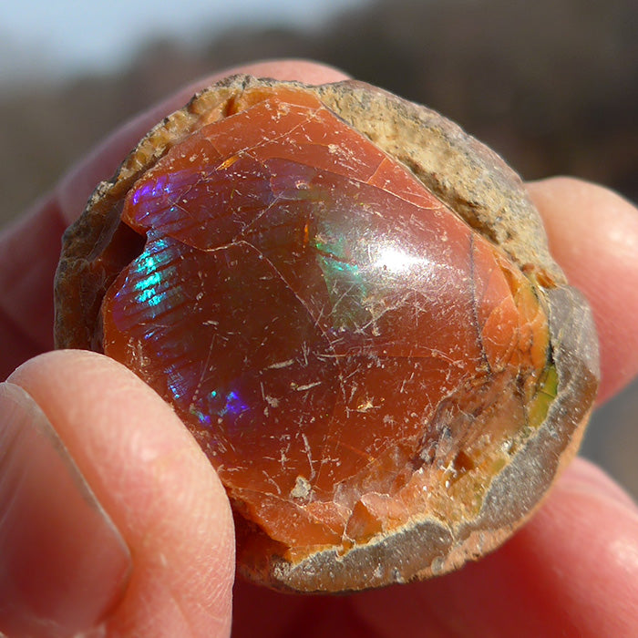 Spherical Ethiopian Orange Opal Specimen