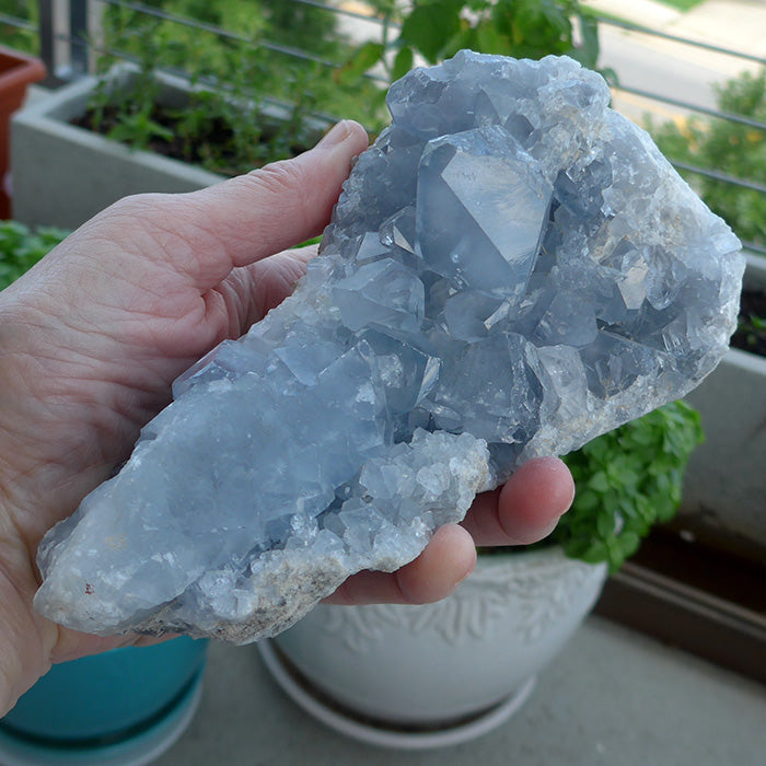 Sparkling Druzy Celestite Cluster