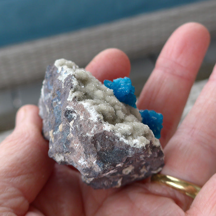 Cavansite Flowers on Heulandite Matrix
