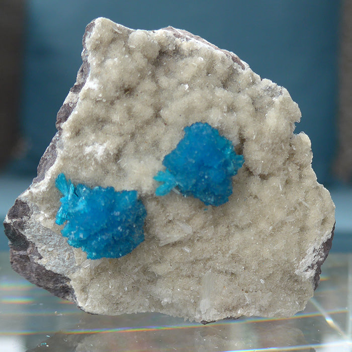 Cavansite Flowers on Heulandite Matrix