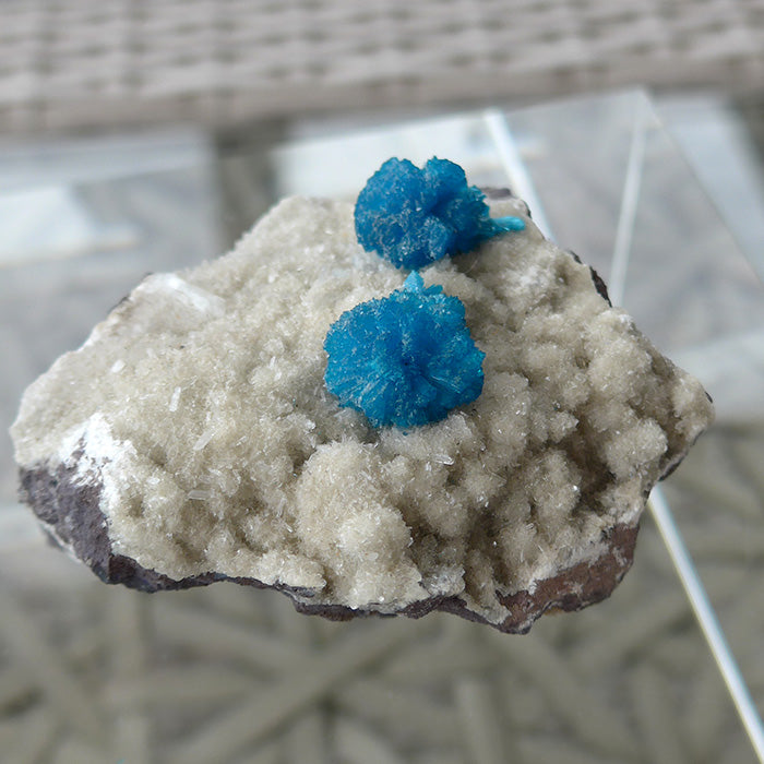 Cavansite Flowers on Heulandite Matrix