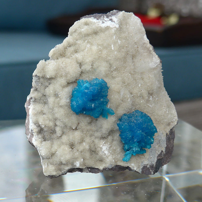 Cavansite Flowers on Heulandite Matrix