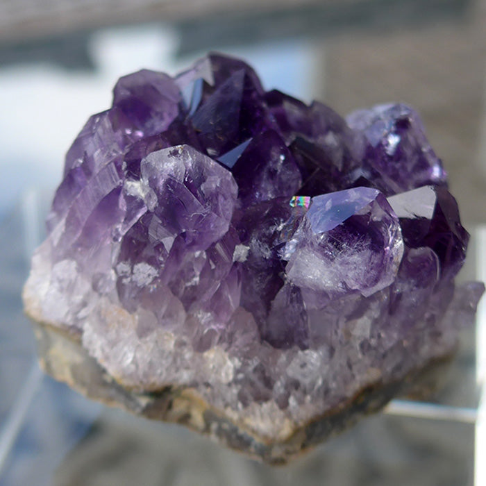 Deep Purple Small Uruguyan Amethyst Cluster