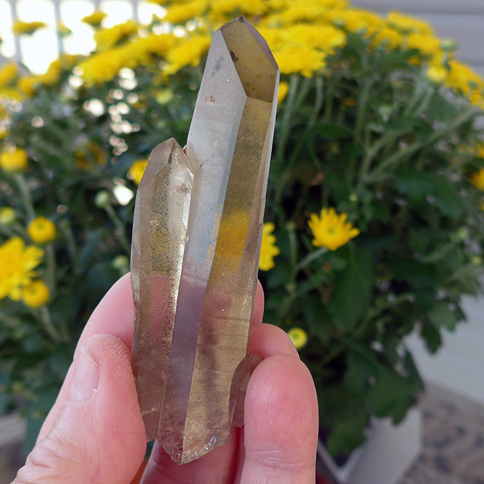 Double Point Shadow Lemurian Window Wand with Bridge Crystals