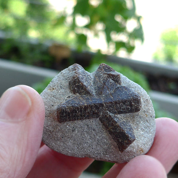 Five Armed Staurolite Cross