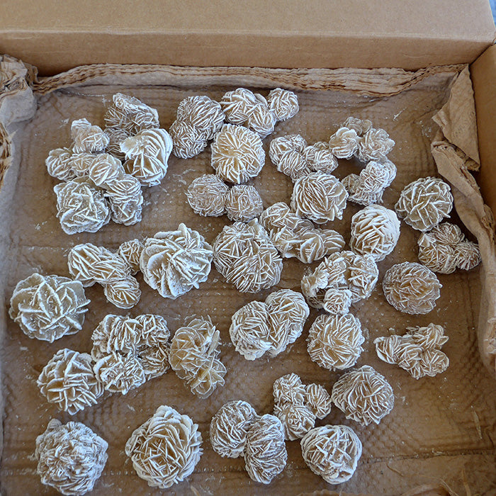 Selenite Medium Size Desert Roses Whole Flat