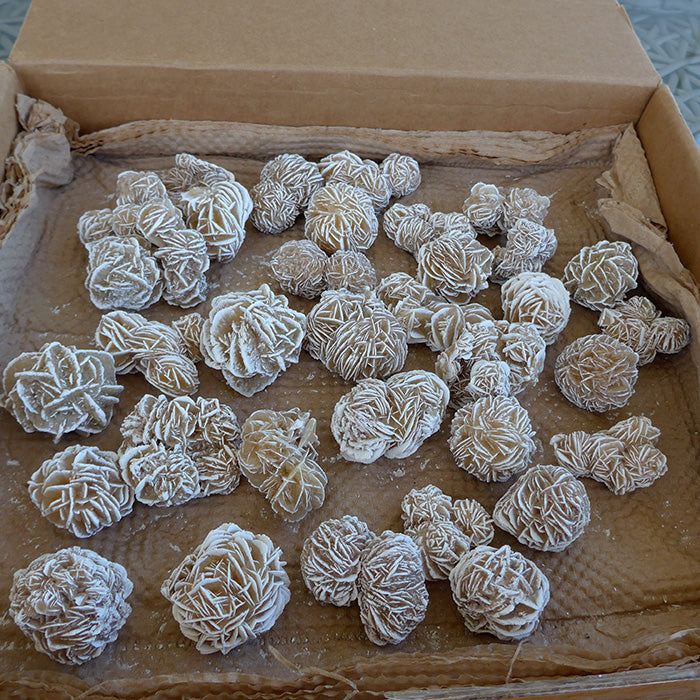 Selenite Medium Size Desert Roses Whole Flat