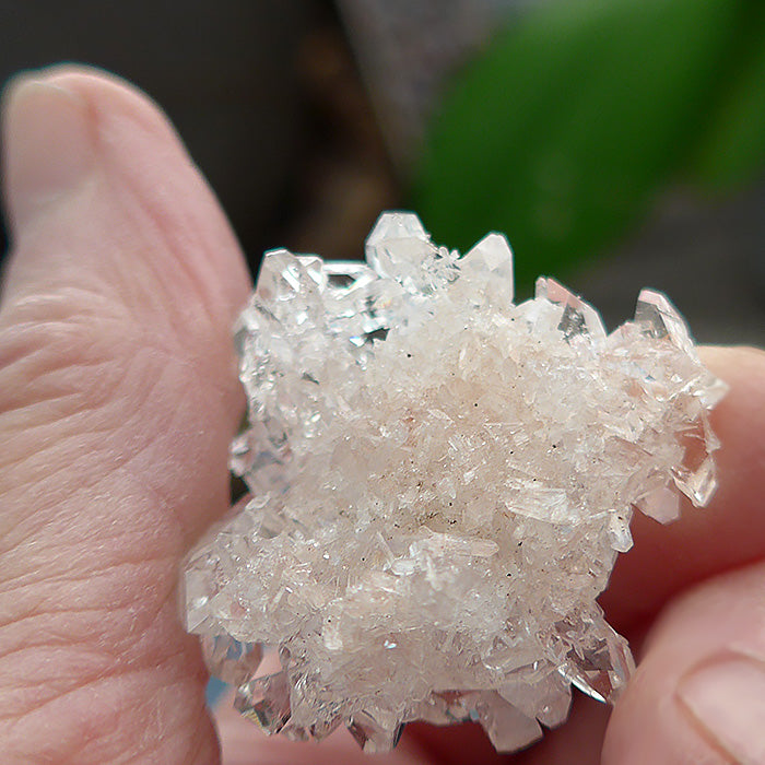 Brilliant AAA Gemmy Apophyllite Flower Cluster