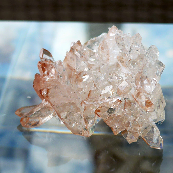 Sparkling AAA Gemmy Apophyllite Cluster