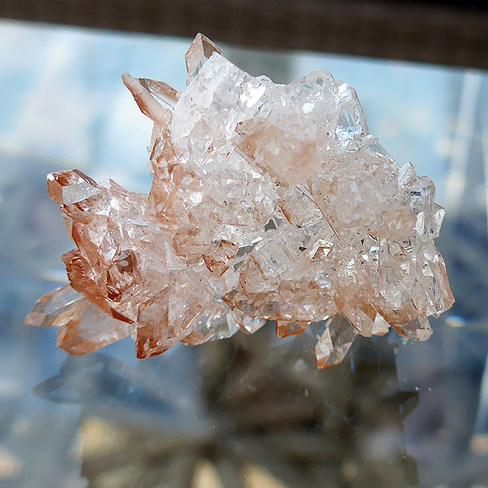Sparkling AAA Gemmy Apophyllite Cluster