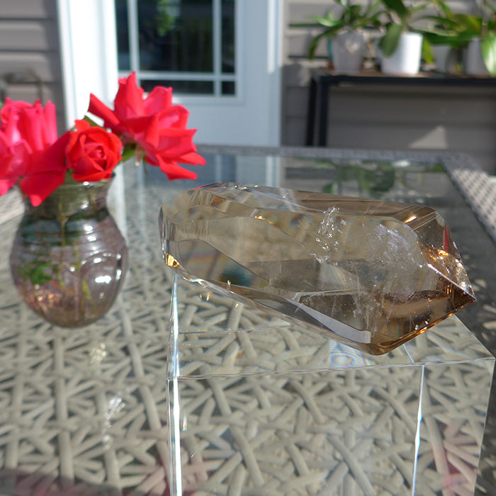 Large Zambian Citrine Infinite Energy Wand by Kings Amao