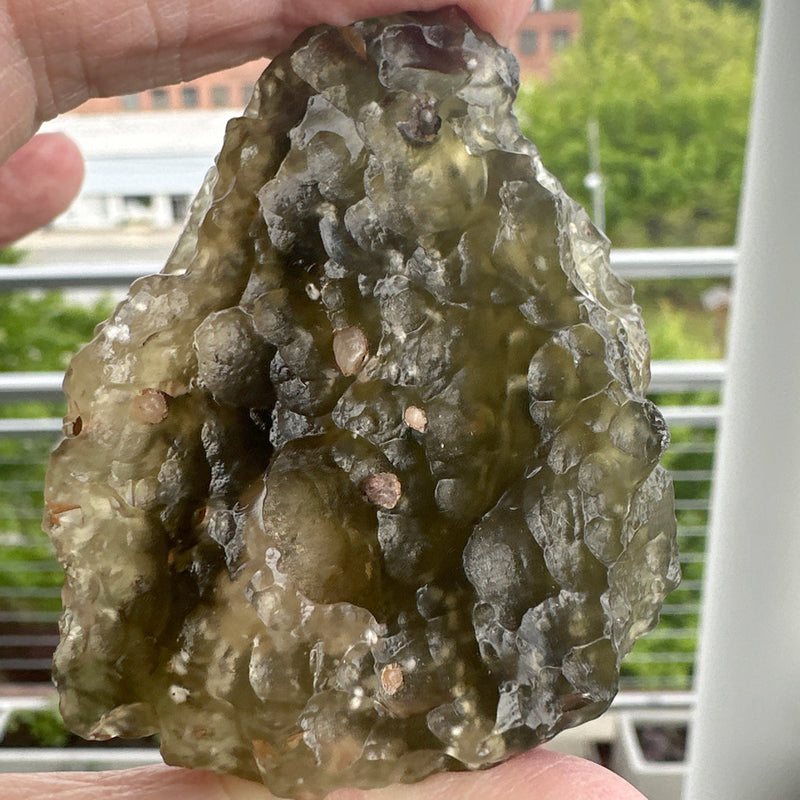 Museum Grade Green-Gold Libyan Desert Glass Specimen