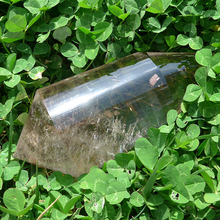 COLLECTOR'S ITEM: Fat Golden Rutile Quartz 144 Facet Vogel Wand by Ray Pinto