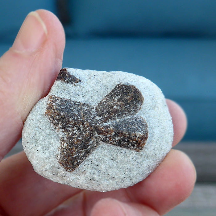 St. Andrew's Staurolite Cross Specimen
