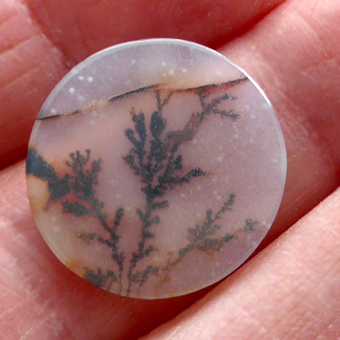 Fairy Circle Dendritic Quartz Meditation Stone