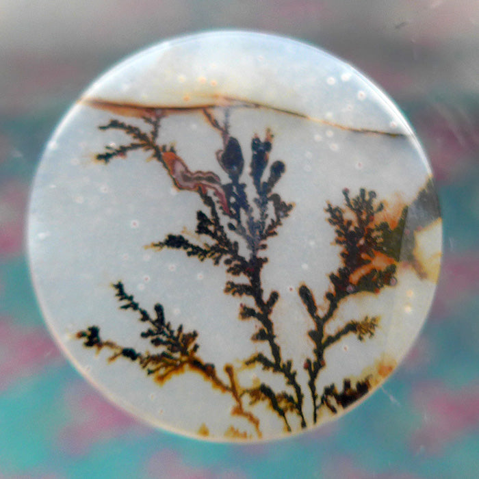 Fairy Circle Dendritic Quartz Meditation Stone