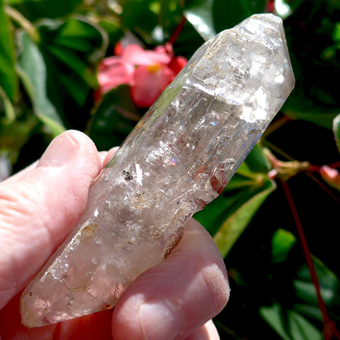 Fat Tibetan Quartz Rainbow DT Scepter with Bridge Crystal