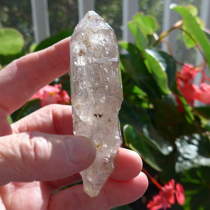 Fat Tibetan Quartz Rainbow DT Scepter with Bridge Crystal