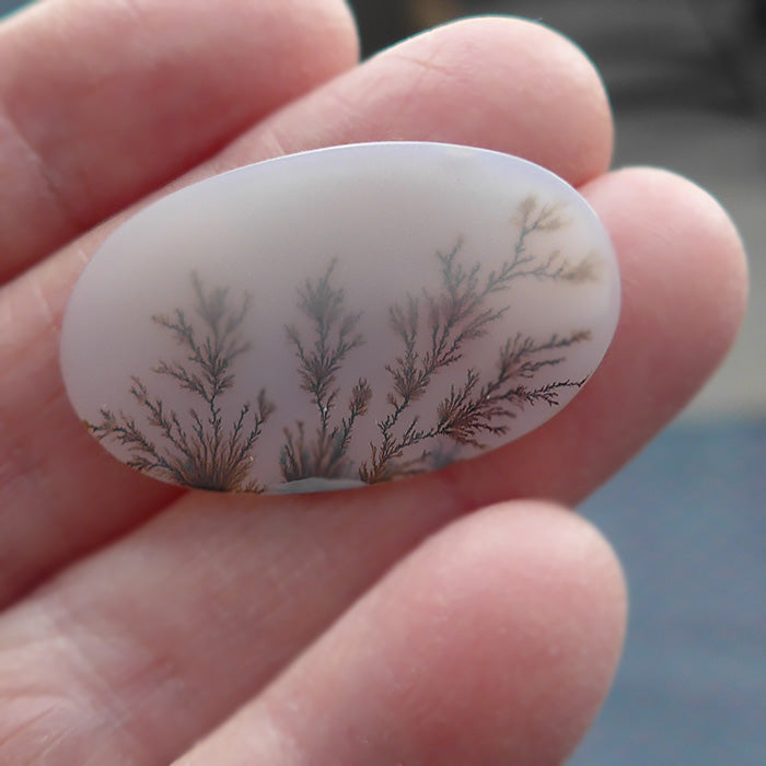 Dendritic Picture Quartz Wide Oval Meditation Stone