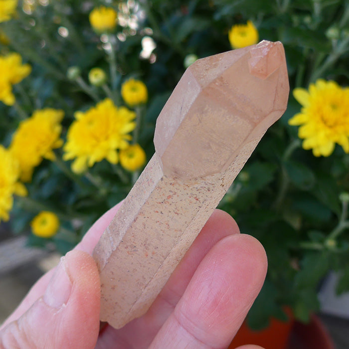 Amblygonite Madagascar Scepter with Bridge Crystal