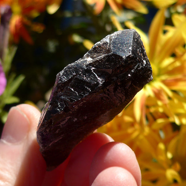 Auralite 23 Curved DT Specimen