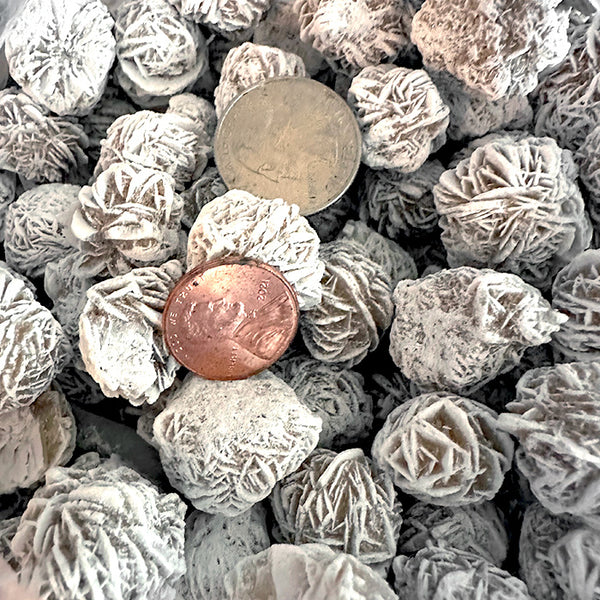 Selenite Small Desert Rose Entire Flat