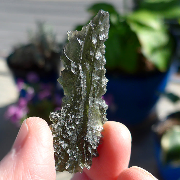 AAA Translucent Besednice Moldavite Leaf