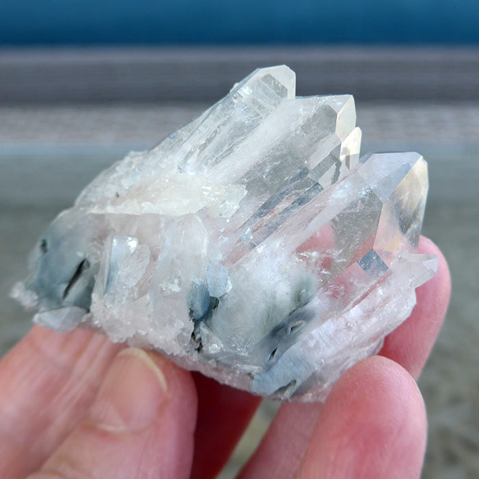 Multi Point Clear Quartz Cluster with Actinolite