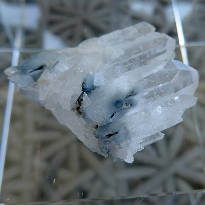 Multi Point Clear Quartz Cluster with Actinolite