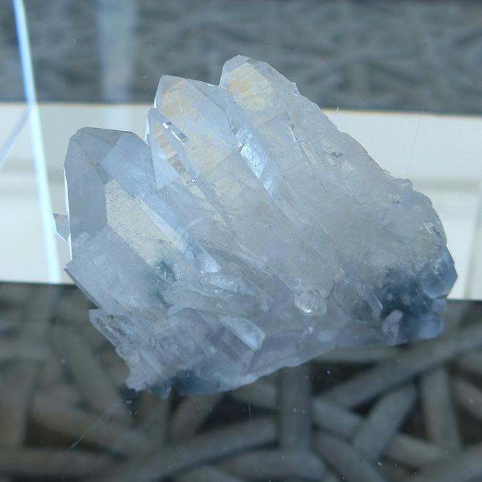 Multi Point Clear Quartz Cluster with Actinolite