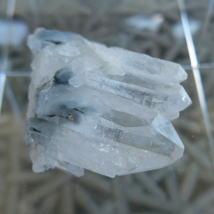 Multi Point Clear Quartz Cluster with Actinolite