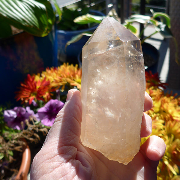 Curved Golden Lemurian Wand