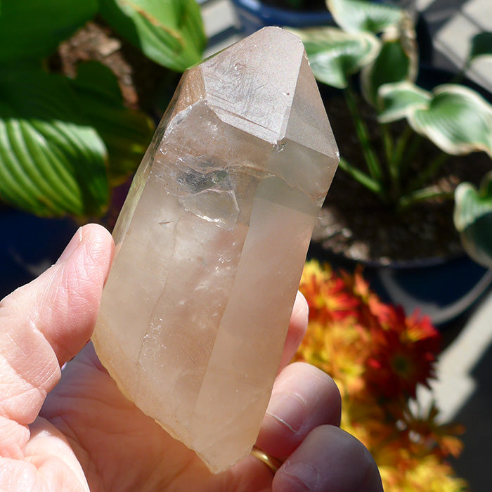 Curved Golden Lemurian Wand