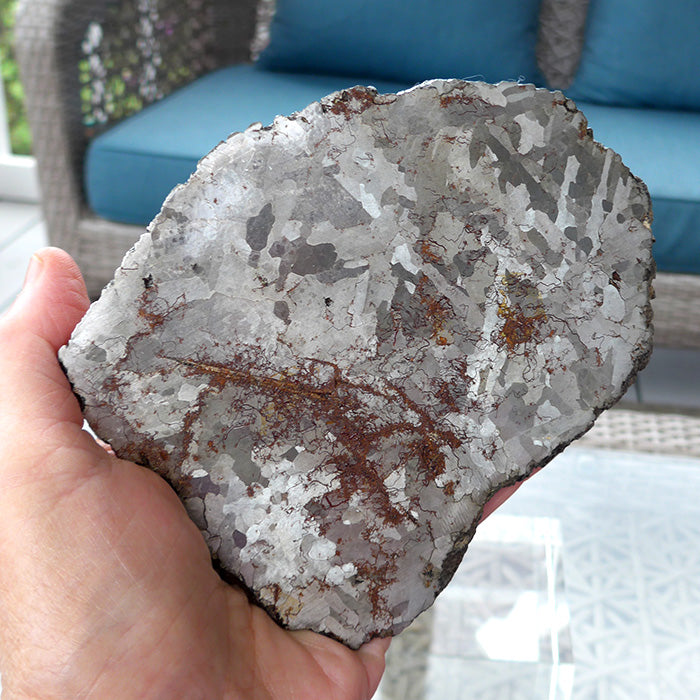 Giant Gibeon Meteorite Slice with Widmanstatten Patterns
