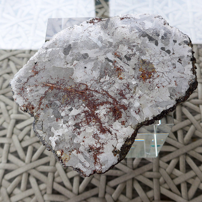 Giant Gibeon Meteorite Slice with Widmanstatten Patterns