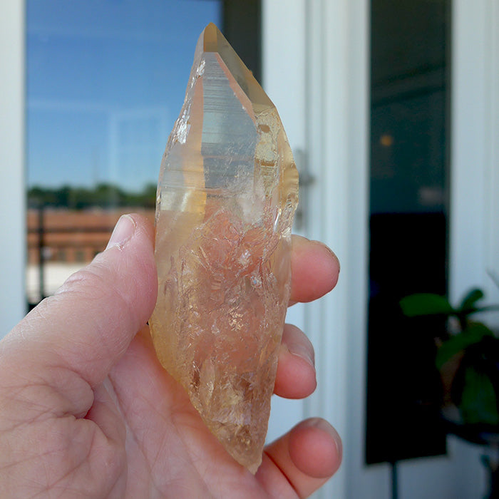 Golden Lemurian Growth Interference Wand