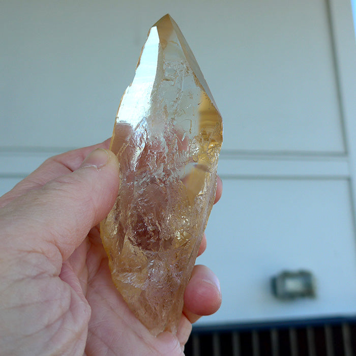 Golden Lemurian Growth Interference Wand