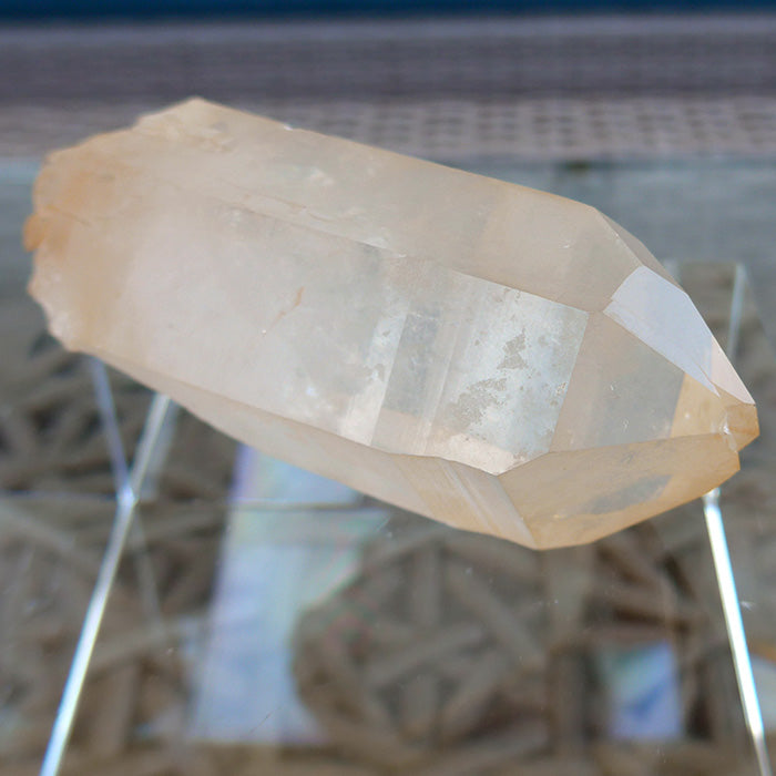 Golden Lemurian Self Healed Twin Window Wand
