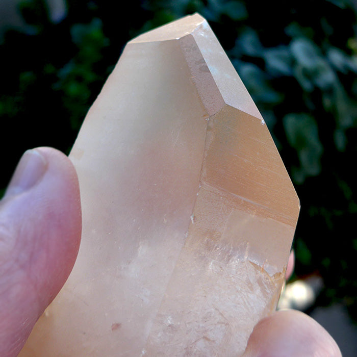 Golden Lemurian Tabular Window Wand