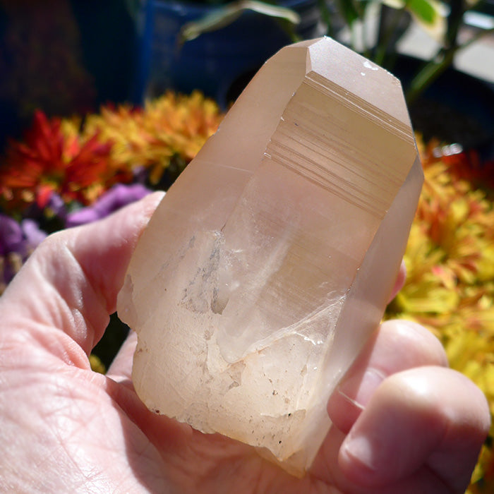 Golden Lemurian Tabular Window Wand